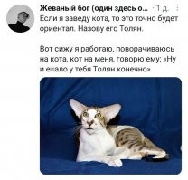 Эх, Толян....