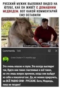Девушка из Новосибирска порыбачила с медведем