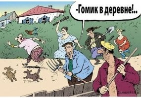 Пятничная подборка автоприколов