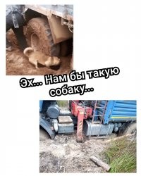 Смешные и познавательные картинки