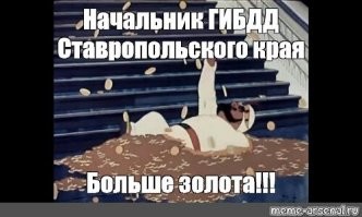 «Это мафия»: на Ставрополье задержали все руководство ГИБДД