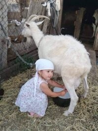 Дети в деревне