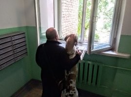 Мы для них - вся жизнь: 20+ фото с собаками, которые греют душу