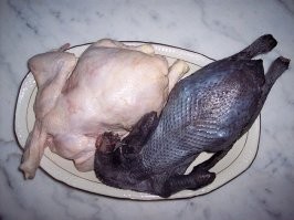 Смешные и познавательные картинки