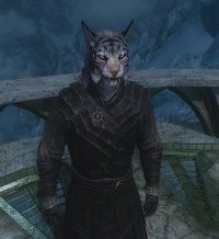 Просто он Каджит