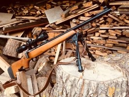 Можно и мелкашку...