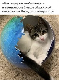 Сцуко! Как последнюю фишку вставлять в эту головоломку???