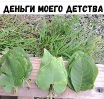 Смешные комментарии из соц.сетей