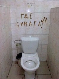 Когда нет даже ершика...