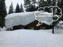 Люди явно не ожидали таких подлянок от природы!