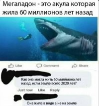 Ещё от автора: