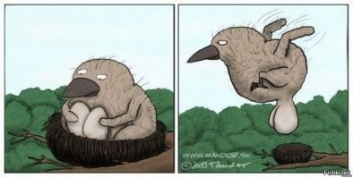 Смешные и познавательные картинки