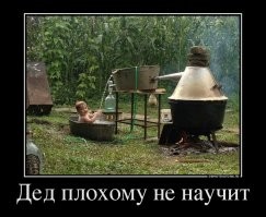 Дети в деревне