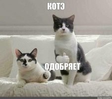 В Техасе арестовали мужчину, который бросил хаски на дороге