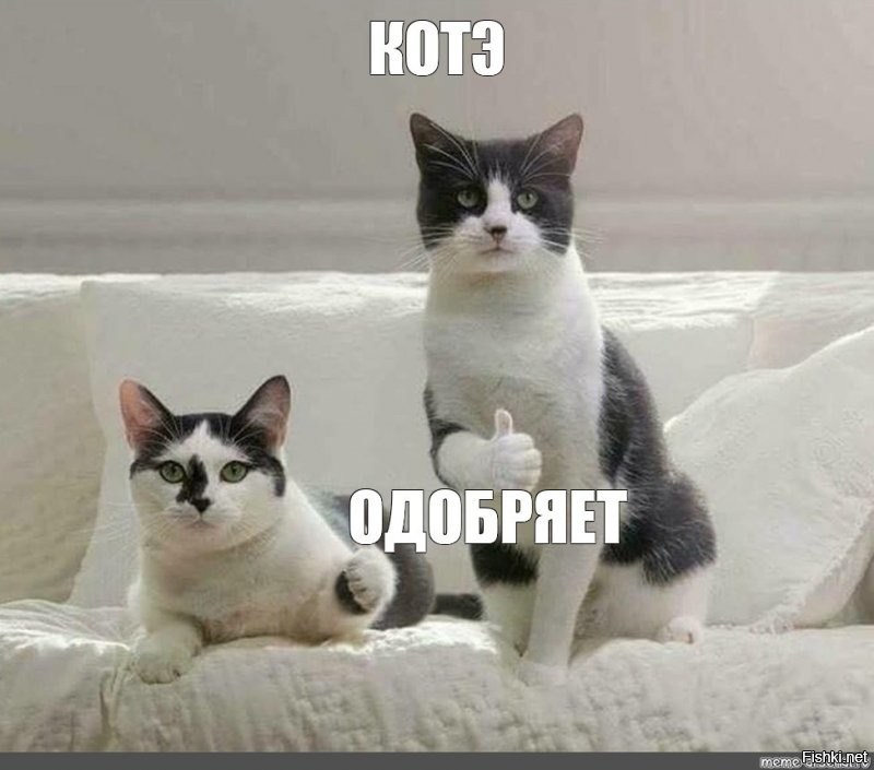 В Техасе арестовали мужчину, который бросил хаски на дороге