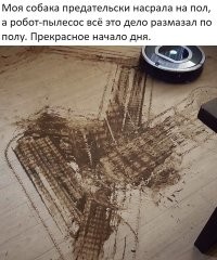 Восстание машин началось?! Робот-пылесос напал на собаку