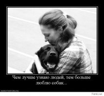 В Техасе арестовали мужчину, который бросил хаски на дороге