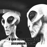 Смешные комментарии из соц.сетей