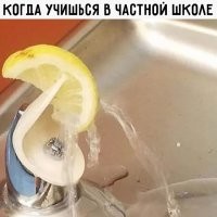 Подскажите мне, что это?