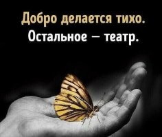 В Новокузнецке женщина чудом спасла ребёнка, выпавшего из окна