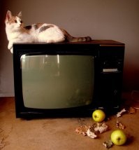 салфетки салфетками, но и котик тоже нужен...