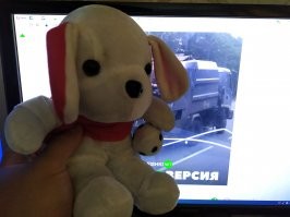 Это да. На мусоровозе работал, по нескольку штук с рейса привозил. Все коллеги у меня разбирали их себе в рабочие машины.
Увольнялся, Жорика себе забрал.