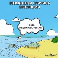 Смешные картинки из соц сетей