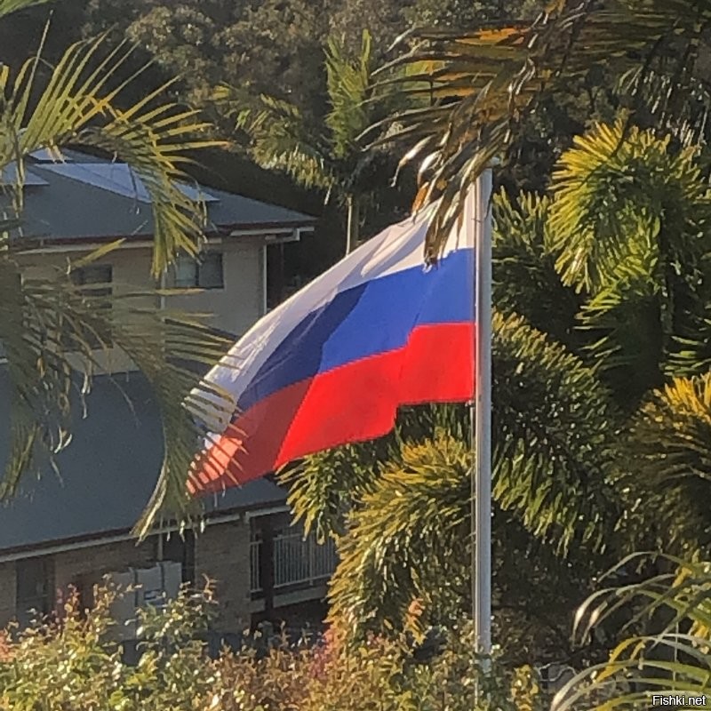 Пусть в Токио и без флага, но везде не запретишь. Я поднял наш флаг в Австралии в поддержку наших спортсменов.