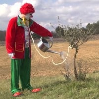 Комик вынудил французов поучаствовать в «олимпийских» играх на городских улицах