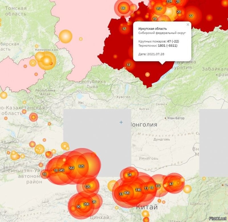 Что и требовалось доказать. 
У вас на сайте показана катастрофа только в России. 
Иркутская область - 1800 очагов, жопа-жопная!!! Область бордовая!!!
А чуть ниже Китай, чуть на меньшей территории те же 1800 очагов... и ничего нормальненько, даже розовеньким не закрасили. 
В Африке вообще 80% очагов даже не заморачивались считать. 
---------
Вот вам нормальная ссылка, без разукрасок и кружочков искажающих информацию.