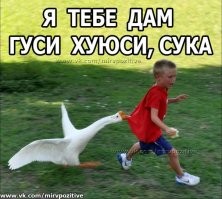 Вырос и нифига не понял))))