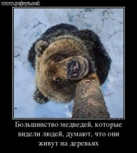 В "Ергаках" хозяин тайги забрал жизнь туриста из московской группы