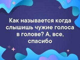Сам дурак или хамство в Интернете