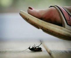 Цыганёнок воровал в магазине товар, пока его мама отвлекала продавца