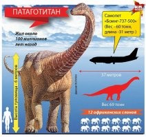 15 сравнений, которые показывают, что всё относительно