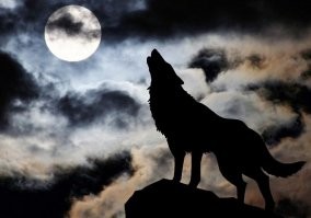 Надо срочно исправлять баг. А то как только в небе Луна появляется, машина выть начинает :)