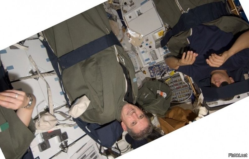 вот в такой позе спят космонавты