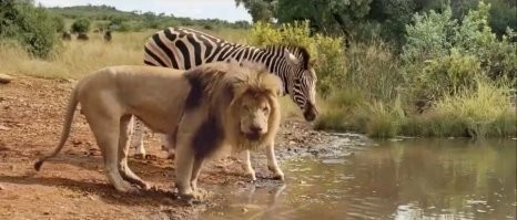 Оборот 290млрд в год... За эти деньги можно построить самые передовые станции очистки водопроводной воды. 
 Нас 7млрд человек - это 40 долларов с "рыла". Готовы вложиться? Нет.  Почему? Потому что своруют. 
 Вроде люди и социальные животные, но... "водное перемирие" не для нас.