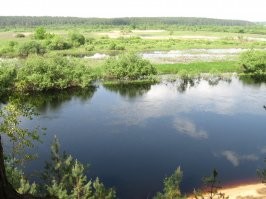 Березина