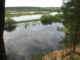Березина
