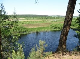 Пардон, не удержался – р. Березина в районе г. Борисова.