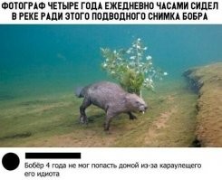каралЕщего? Лещ тут при чем?