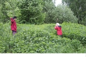 да падет презренная крапива!!!