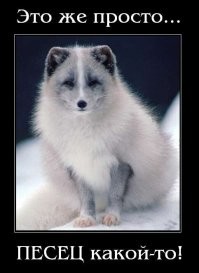 В посте была просьба выразить свою мысль в корректной форме...