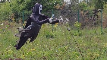 У меня последняя часть дороги на дачу, довольно жутковатая. Особенно зимой. Кого ни привозил в гости, все об этом говорят. Плюс участок с лесом граничит. Хочу в этом году  перед входом вот такую штуку поставить. Причем фару от солнечной батареи запитать, и слабое освещение всей композиции тоже.