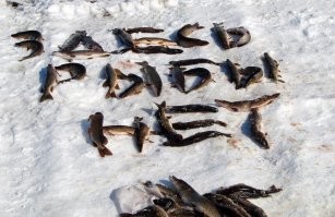 У пакистанских рабочих земля ушла прямо из под ног