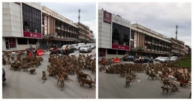 Полиция Москвы задержала более 30 человек за драку в супермаркете