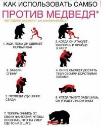 В Красноярском крае в результате нападения медведя погиб турист из Москвы