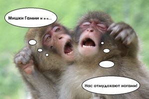  Интересные факты про мультфильм "Мишки Гамми"