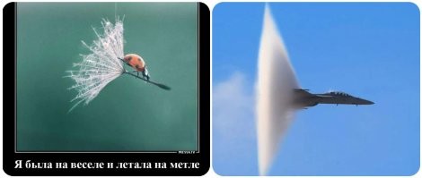 Фото-приколы в субботу для вашего настроения